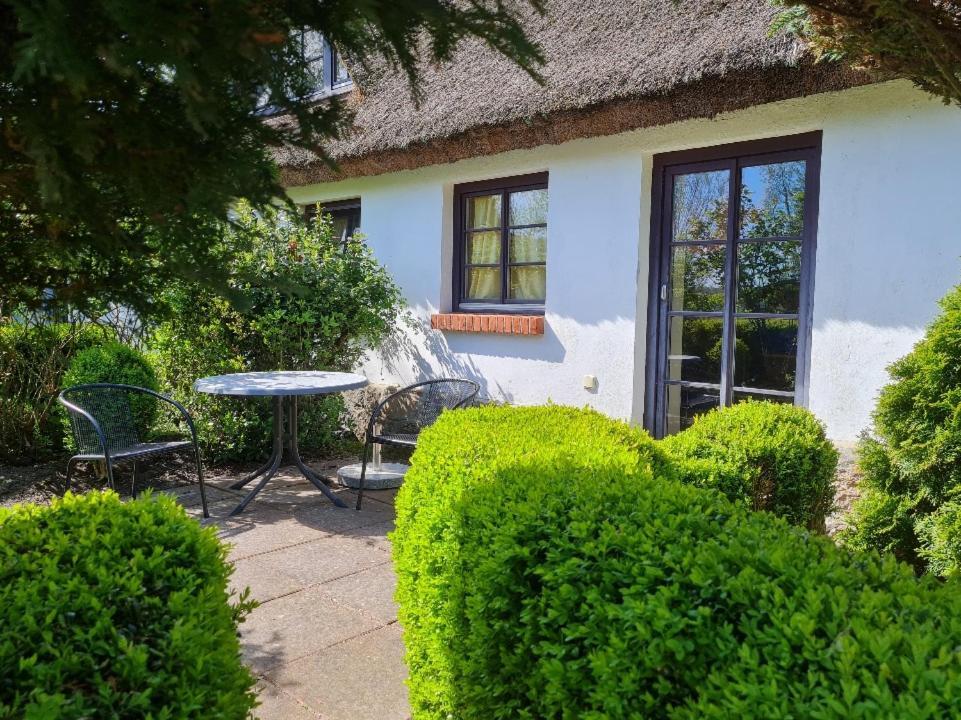 Alte Und Neue Buednerei Apartamento Groß Zicker Exterior foto