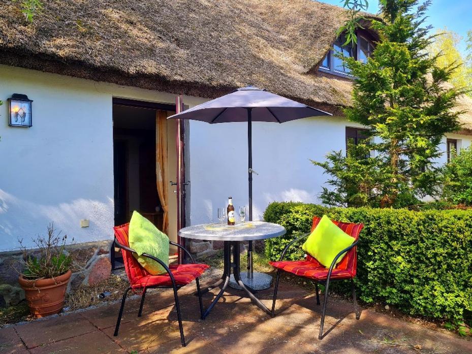 Alte Und Neue Buednerei Apartamento Groß Zicker Exterior foto